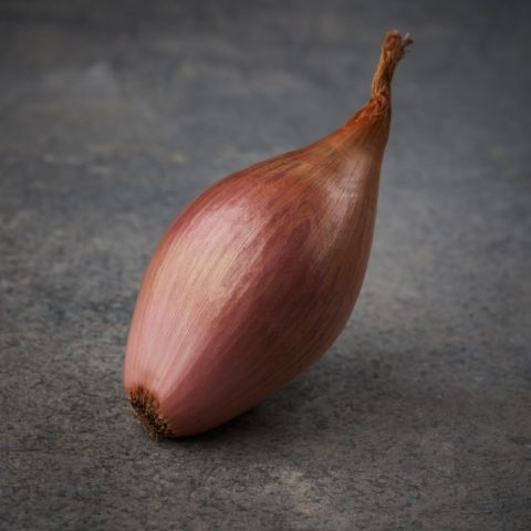 French Echalion Shallots